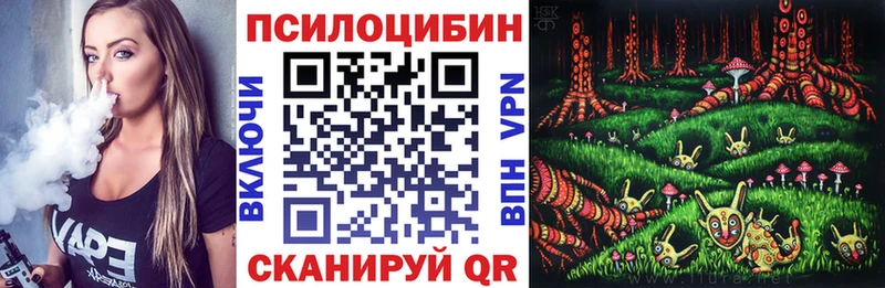 Купить Вытегра Псилоцибиновые грибы мухоморы